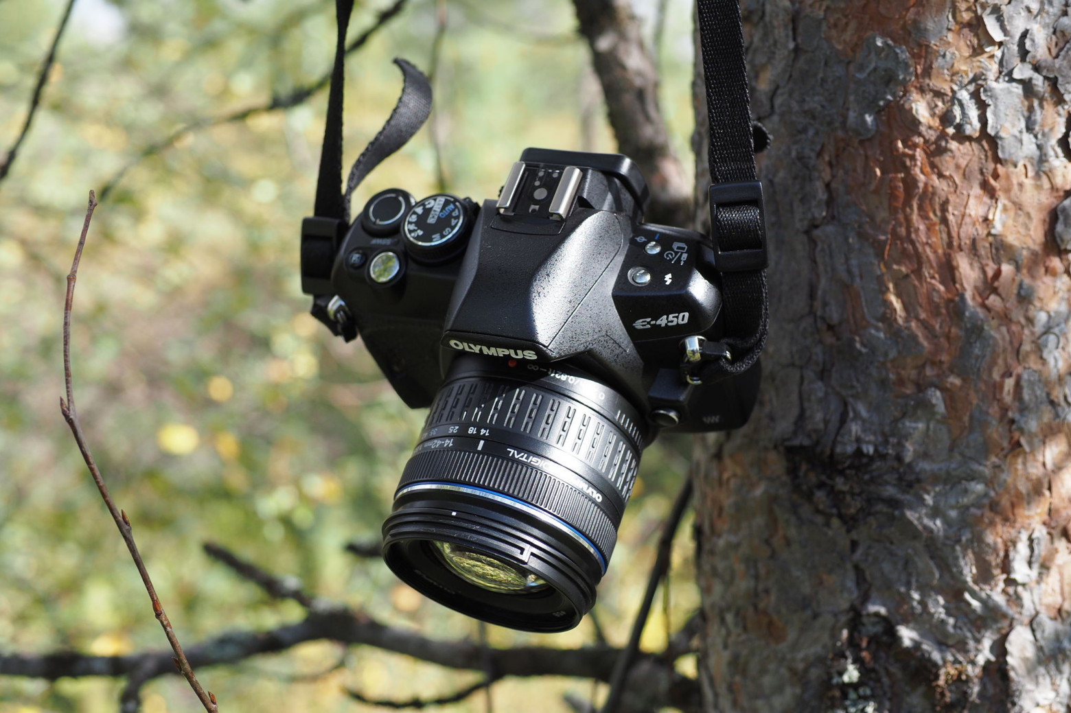 Olympus E-450 — зеркалка‑малышка - 2